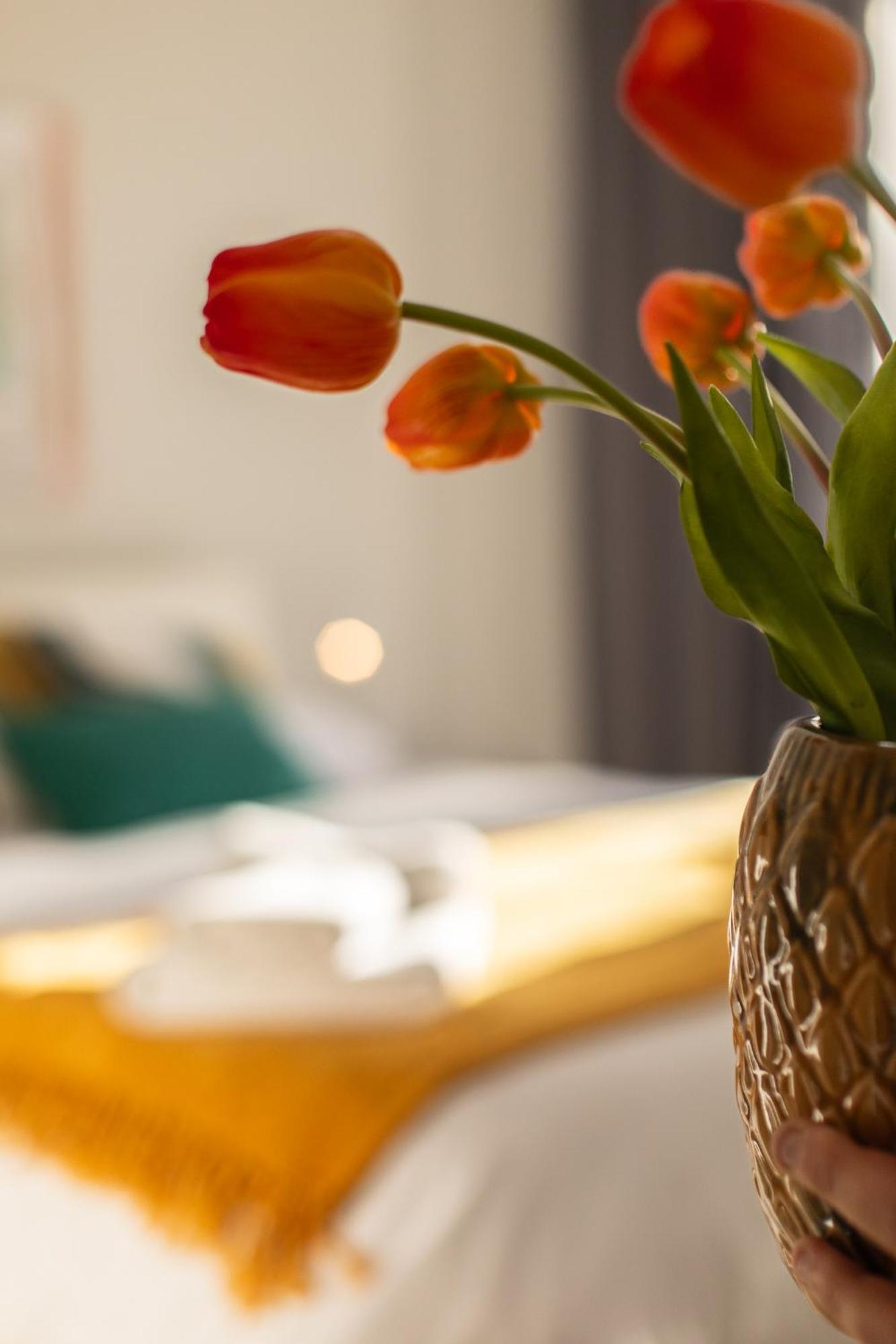 Veigas De Iria - Apartamento Turistico Vut Padron Bagian luar foto