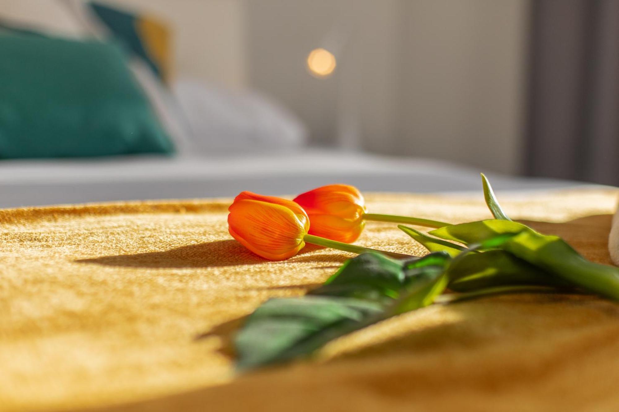 Veigas De Iria - Apartamento Turistico Vut Padron Bagian luar foto